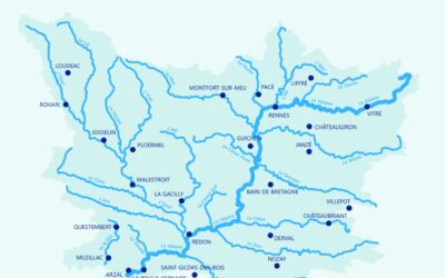 COMMUNIQUE DE PRESSE DU 14 novembre 2025